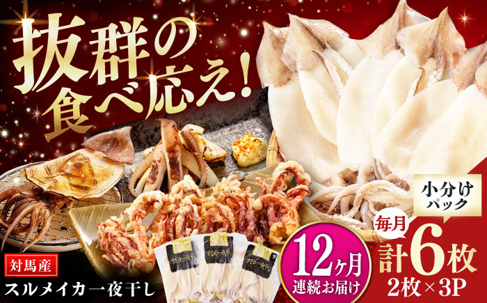 【全12回定期便】するめ いか 一夜干し セット《対馬市》【対馬地域商社】九州 長崎 海鮮 [WAC026]冷凍 新鮮 簡単調理 肉厚 スルメイカ いか 小分け 天ぷら 炒め物 おつまみ 個包装 贈り物 プレゼント 対馬 つしま するめいか 烏賊 人気 定期便 毎月届く