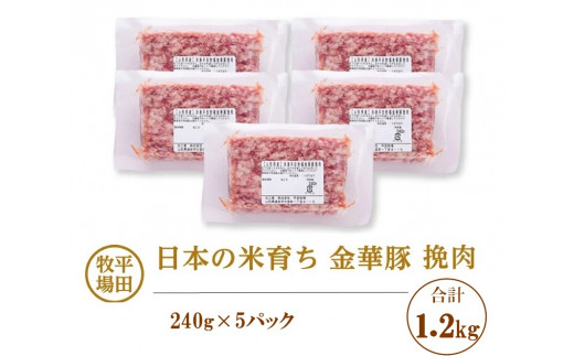 【平田牧場】日本の米育ち 金華豚 挽肉　計1.2kg(240g×5パック) SA2002