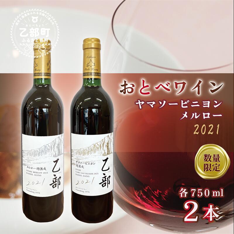 【ふるさと納税】＜おとべワイン メルロー・ヤマソービニヨン 750ml×各1本セット＞北海道 乙部町 道産 道南 道南ワイン おとべワイン ワイン 赤ワイン 限定 限定品 芳醇 香り