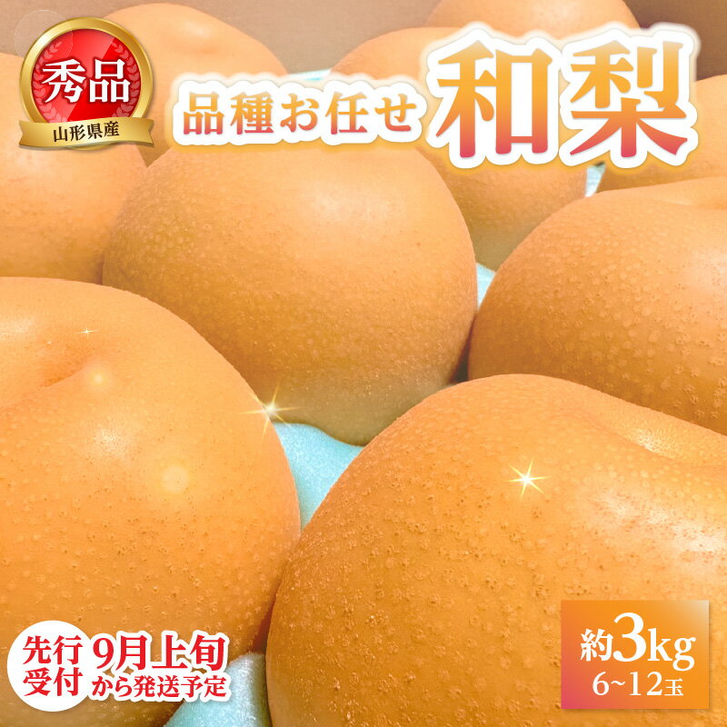 【ふるさと納税】《先行受付》★山形産和梨（品種お任せ）★約3kg(6～12玉程度)秀品【2026年9月頃～順次発送予定】 山形県 大江町 なし 梨 和梨 3キロ 品種お任せ 幸水 豊水 あきづき 甘太 王秋 南水 シャリシャリ 甘い フルーツ 果物 秀品