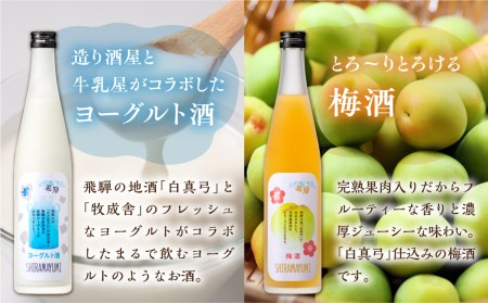 リキュール 人気のヨーグルト酒セットA ヨーグルト酒&梅酒 お猪口付 白真弓 蒲酒造 果実酒 [Q1623]