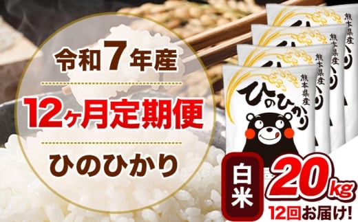 令和7年産【12ヵ月定期便】 白米 ひのひかり 定期便 20kg 5kg×4袋《お申込み翌月から出荷》 熊本県産 精米 ひの 米 こめ ヒノヒカリ コメ お米