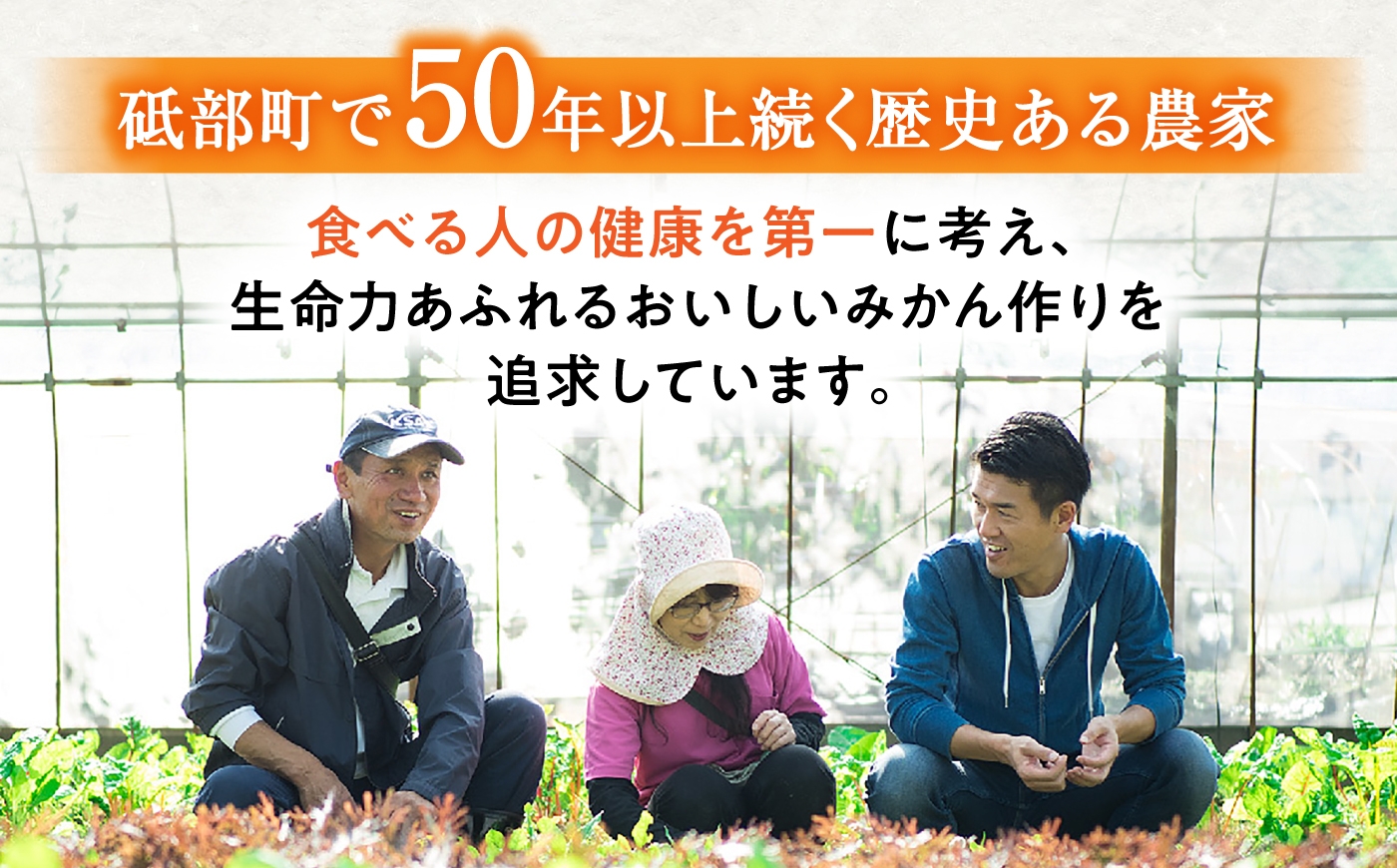 柑橘 蜜柑 みかん ミカン 愛果28号 訳あり 訳アリ 3kg 小玉 愛媛
