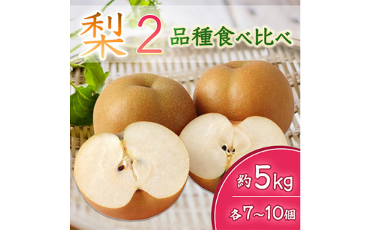 ＜2025年8月より順次発送予定＞梨2品種食べ比べ　各7～10個約5kg(県内共通返礼品:石岡市産) (BR048)