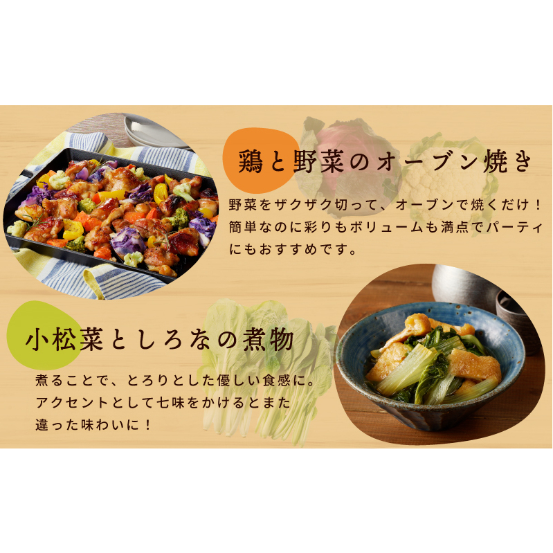 旬の新鮮 野菜セット（15種以上）定期便 全6回 おまかせ ピクルスの素付き ファミリー向け いずみピクルス NSW【毎月配送コース】 099Z280_イメージ5