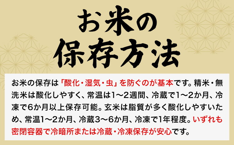 【3ヶ月定期便】令和7年産 菊池市七城町産 田代家の七城米 七城ヒノヒカリ 白米 10kg 田代こめや《お申込み翌月から出荷》熊本県 菊池市 米 お米 精米 ひのひかり 菊池市産 熊本県産 九州産 送