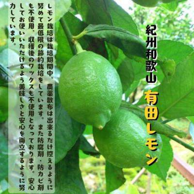 ふるさと納税 美浜町 ≪先行予約 2026年10月〜発送≫【国産】紀州和歌山 有田レモン 3kg |  | 01