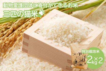 三匹の猫米/動物保護に携われる/特別栽培米 2kg×2