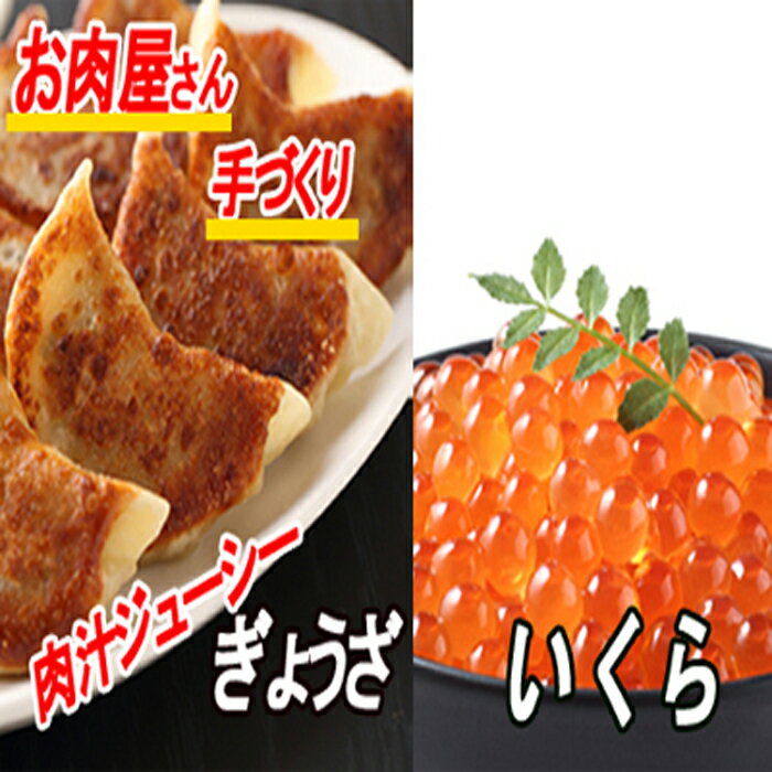 【ふるさと納税】餃子・いくら醤油漬けセット (餃子25個×1P・いくら100g×1P) (餃子25個×2P・いくら100g×2P) (餃子25個×2P・いくら醤油漬100g×3P) イクラ イクラしょうゆ漬け イクラ醤油漬 ギョウザ 魚介類 海鮮 北海道 根室市