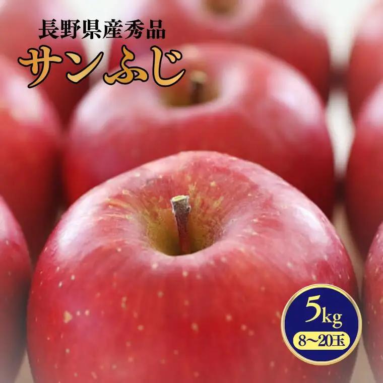MS15 りんご サンふじ（長野県産秀品） 約5kg / 2026年11月下旬～12月中旬頃 配送予定 // 長野県 南信州 さんふじ サンフジ ふじりんご リンゴ 林檎 贈答 ふじ
