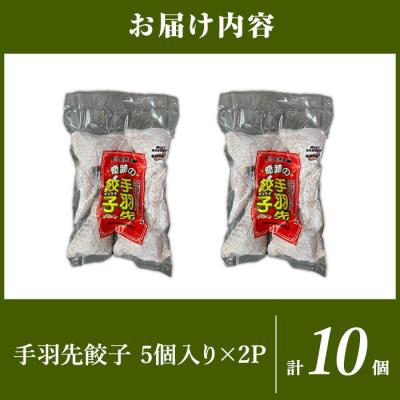 ふるさと納税 霧島市 霧島黒豚使用!奇跡の手羽先餃子(5個×2P 計10個)【MAGONIMO餃子】K-285-A |  | 01