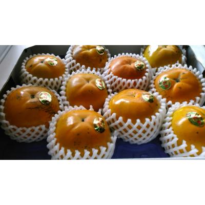 ふるさと納税 益城町 太秋柿　約3kg　8〜16玉入り |  | 01