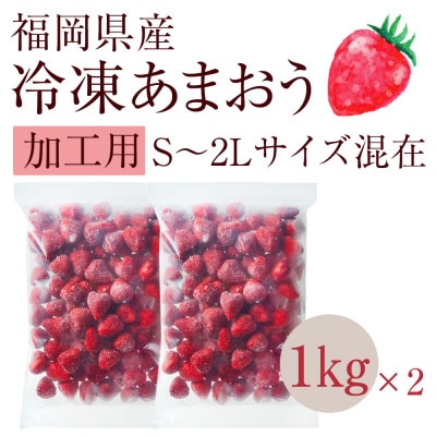 【濃厚な味わい!】冷凍いちご「博多あまおう」1kg×2セット(筑後市)【配送不可地域：離島】