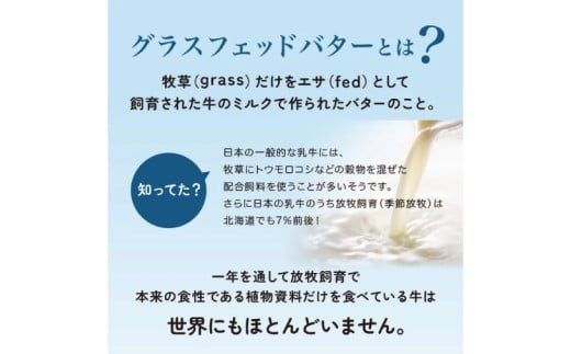 マヌカハニー＆グラスフェッド発酵バター 100g×2個｜はちみつ ハチミツ 蜂蜜 マヌカハニー バター 発酵バター ビタミン カルシウム お土産 ギフト プレゼント お祝い 人気 沖縄 沖縄県 豊見城