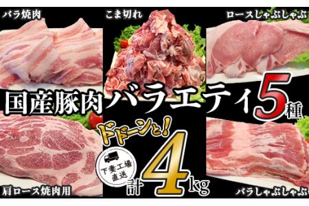 国産豚肉バラエティ5種セット4kg（小分け真空包装）【下妻工場直送】【豚肉 国産 種類  小分け 料理 工場直送 バラエティ セット 真空 人気 おすすめ ストック 大量 マルリン】