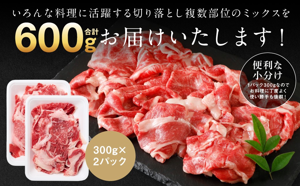 いろんな料理に活躍する切り落とし複数部位のミックスを合計600gお届けいたします！