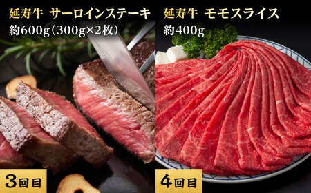 【6回定期便】熊本県産 あか牛『延寿牛』 食べ比べ【有限会社 九州食肉産業】[ZDQ169]