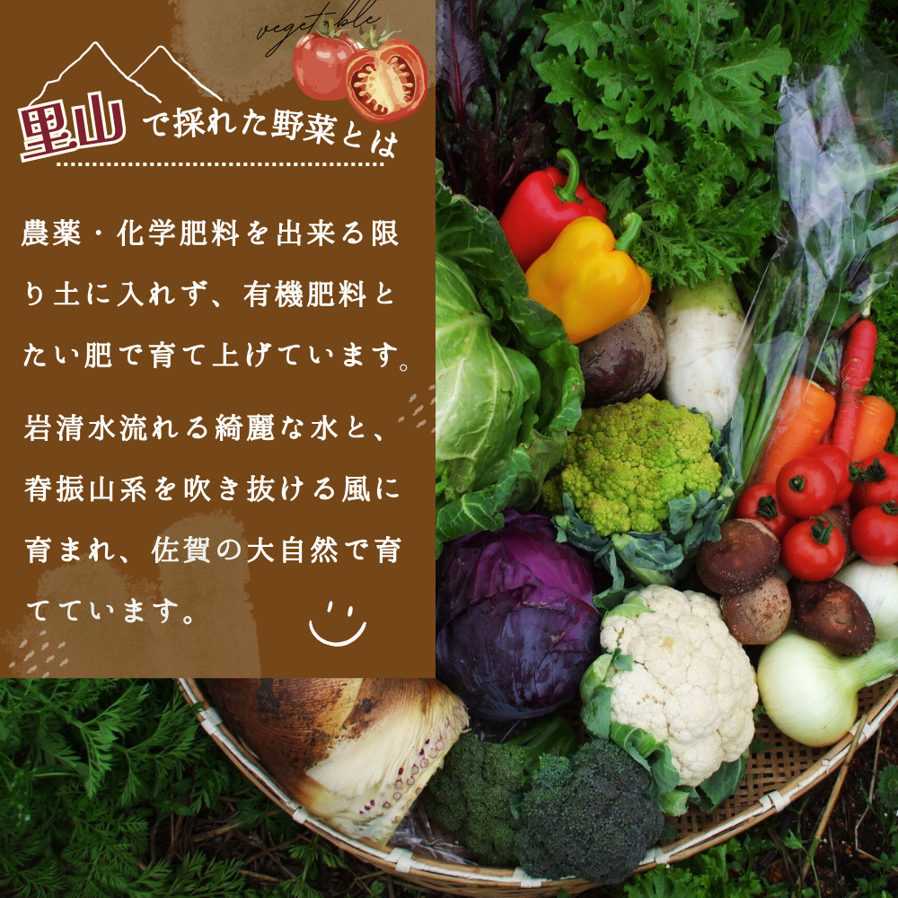 年間定期便12回 里山で採れた野菜セットラージ 16品 【有機野菜 おまかせ野菜セット イタリア野菜 西洋野菜 定期便】(H078110)