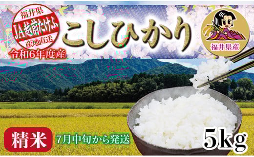 令和６年度産「こしひかり」 ５㎏　【７月中旬頃お届け】