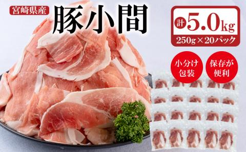 宮崎県産豚肉小間切れ　合計5ｋｇ 小分け（250g×20パック）＜1.7-22＞