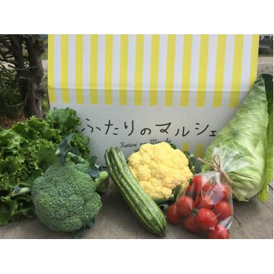 ふるさと納税 江別市 【発送月固定定期便】Ambitious Farm 季節の彩り野菜セット　S　(7・9・11月)全3回