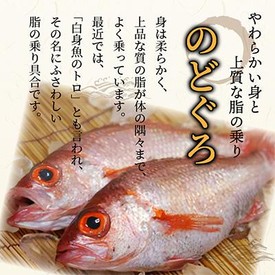 ふるさと納税 京丹後市 のどくろ、笹カレイ入り　一夜干し詰め合わせ　ゴールド |  | 01