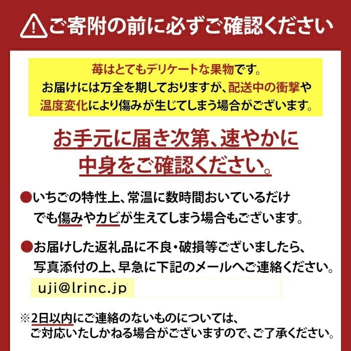 ＜先行予約！2026年12月中旬以降順次発送＞京都府宇治市産いちご(大粒・各計約500g・約250g×2パック・ギフト箱入り) 特産品 苺 イチゴ 果物 くだもの フルーツ 【uj-FL002-B】【
