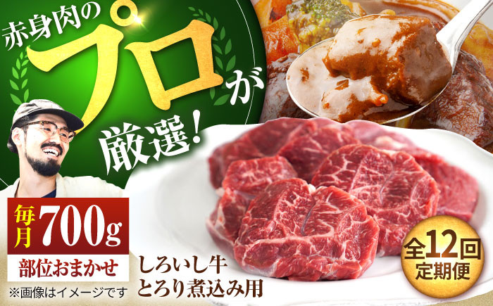 
            【牧場直送】【12回定期便】佐賀県産 しろいし牛 とろり 煮込み用 700g【佐賀セントラル牧場】佐賀県産 肉 お肉 牛肉 カレー シチュー スネ ネック 九州 佐賀県 白石町 [IAH141]
          