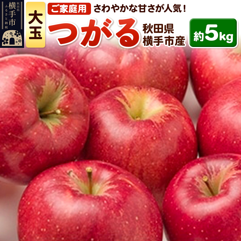 酸味が少なくさわやかな甘さが特徴！横手産りんご【つがる】【大玉】ご家庭用 約5kg(～18玉)