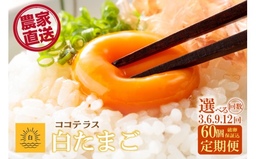 
                  【3～12ヵ月定期便】ココテラスの朝日（白たまご）55個 + 5個保証（計60個）選べる定期便回数【JGAP認証】
                