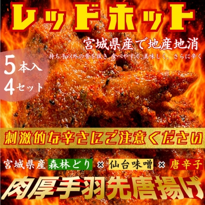 
                  レッドホット特製肉厚手羽先唐揚げ瞬間急速冷凍仕上げ　5本入り×4セット【1419524】
                