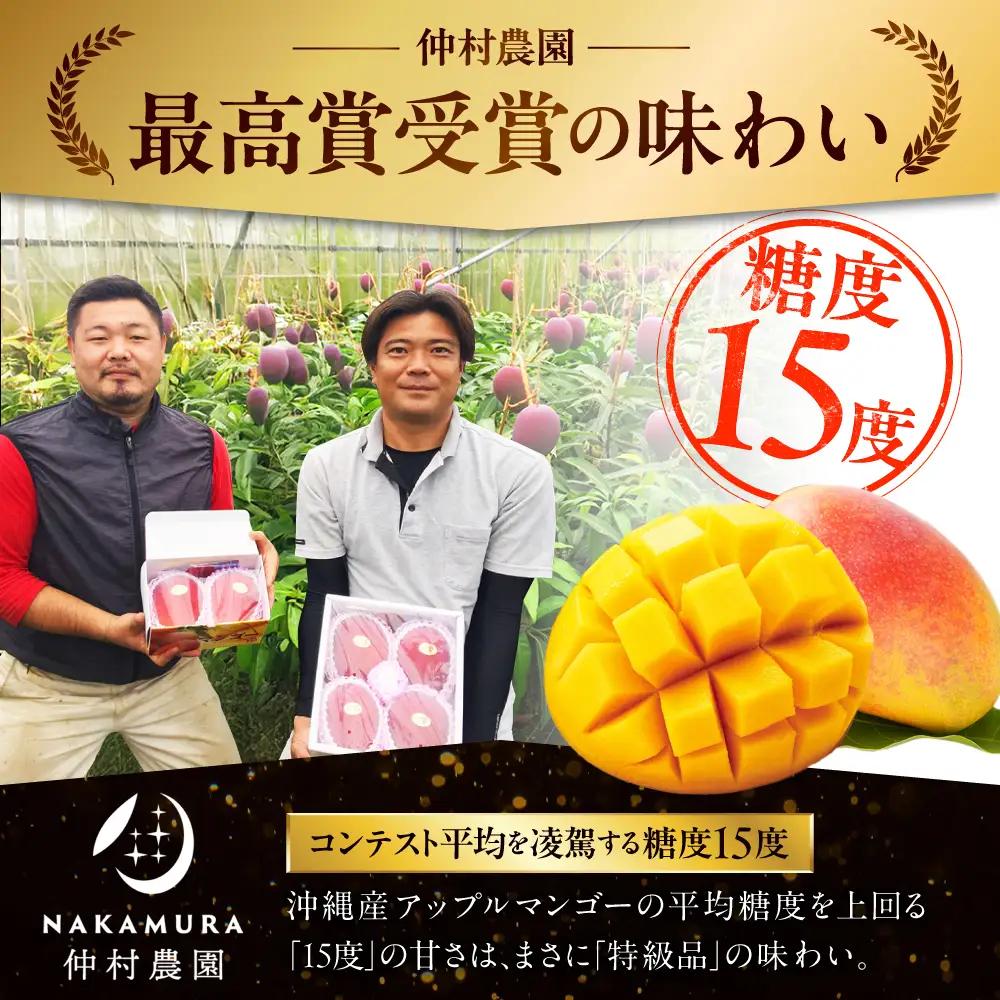 【2027年発送 先行予約】アップルマンゴー 贈答用 2kg マンゴー BCCU001