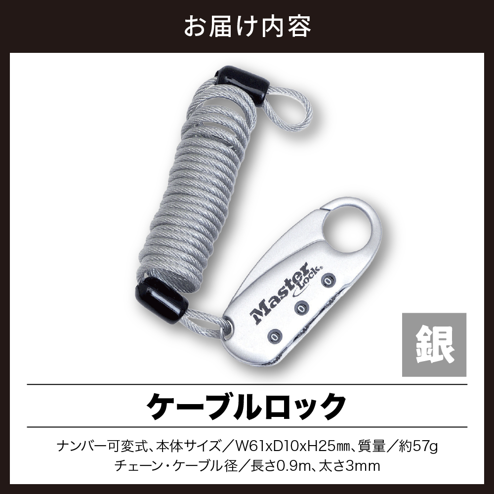 ケーブルロック　1559JADSLV  （銀）　ナンバー可変式　防犯　防災　Master Lock