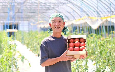 平泉町産 たかはしさんちの完熟トマト 約6kg(M玉サイズ) 【2024年6月下旬～9月下旬頃からの発送】/ トマト とまと 完熟 樹上完熟 野菜 やさい ベジタブル 甘い 濃厚 美味しい リコピン【