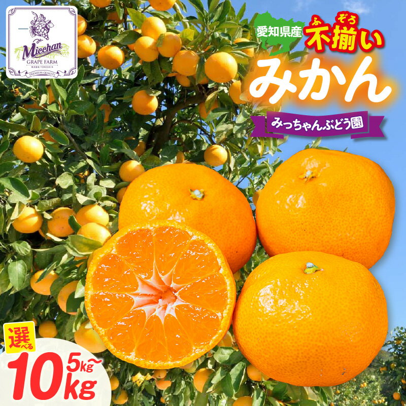 【ふるさと納税】＼先行予約／【訳あり】不揃いみかん【選べる容量：5kg・10kg】※2026年12月発送※ 大容量 みかん フルーツ 柑橘 ミカン 訳あり 果物 旬の果物 オレンジ 産地直送 みっちゃんぶどう園 甘い サイズや見た目にばらつきがあるため訳アリ 送料無料
