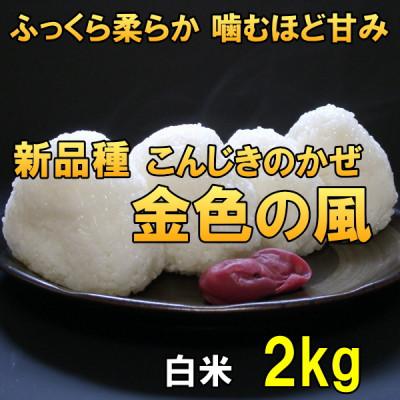 ふるさと納税 奥州市  金色の風(こんじきのかぜ)白米 2kg 岩手県奥州市 令和7年産米 2キロ[AC025]