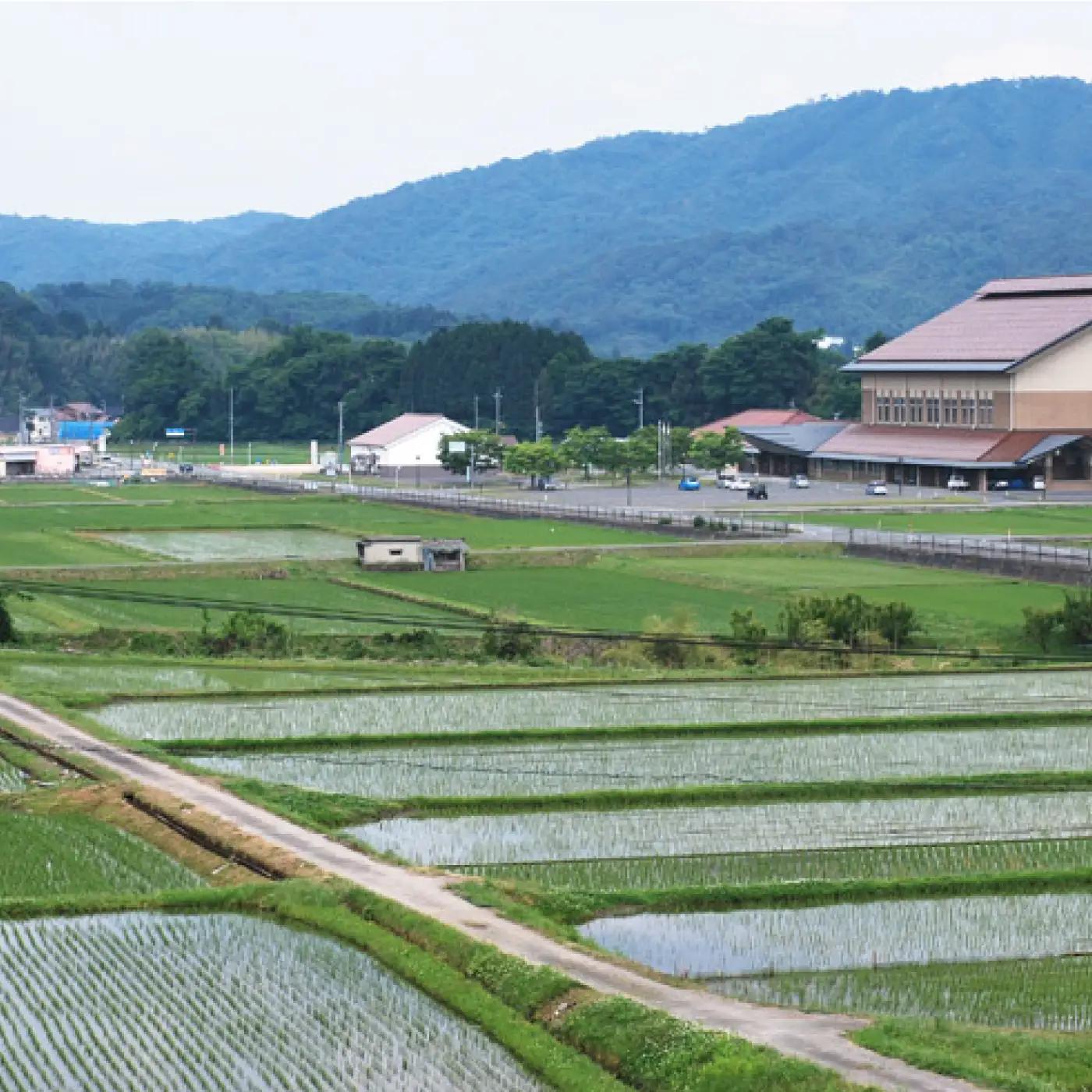 令和7年産 邑南町産きぬむすめ10kg