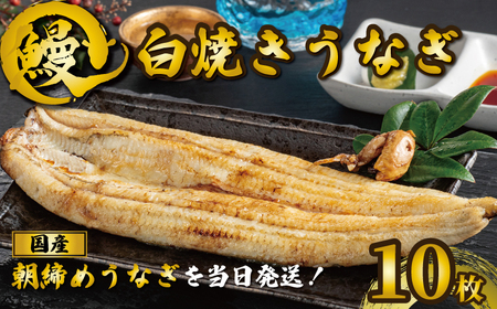 国産うなぎ 白焼き 10枚 約120g×10 鰻 鰻 鰻 鰻 鰻 石毛川魚店