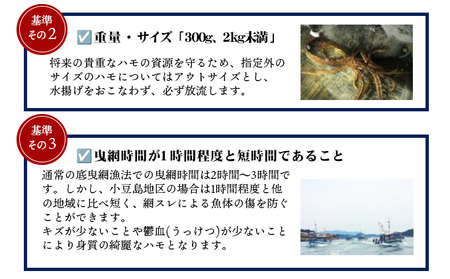 ハモ 魚貝類 小豆島島鱧 活け締め骨切り 小豆島産 ハモ【冷凍】