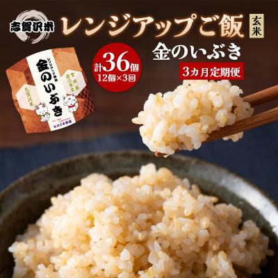 ふるさと納税 岩沼市 【令和7年産新米】【3ヵ月定期便】金のいぶきレンジアップごはん12個[No.5704-0936]