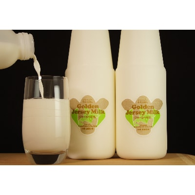 2023年7月発送開始『定期便』ジャージーゴールデンミルク 900ml×3本セット 全6回【配送不可地域：離島】【5136762】