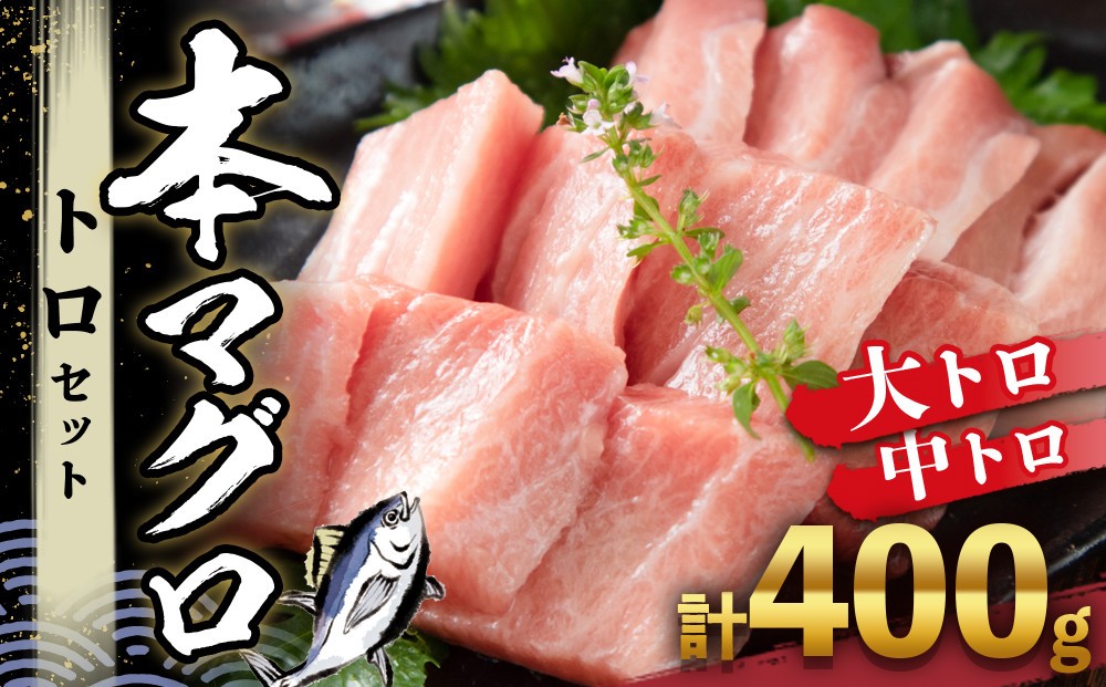 
                  本マグロ トロセット 400g | 那智勝浦町 海鮮 魚介類 本まぐろ 本マグロ まぐろ マグロ 鮪 maguro トロ 刺身用 セット 人気 おすすめ グルメ 大トロ 中トロ 寿司 国産まぐろ
                