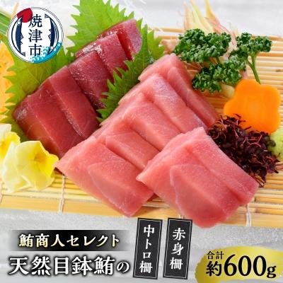 ふるさと納税 焼津市 鮪商人セレクト 天然目鉢鮪の中トロ柵赤身柵(a20-418)