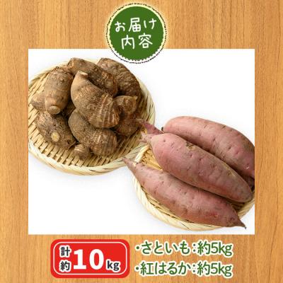 ふるさと納税 境港市 さといもと紅はるかのセット(約10kg)<10月上旬〜2月下旬発送予定> |  | 03