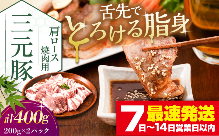 
            【年内発送】 平田牧場 肩ロース 焼肉用 400g (200g×2P)《喜茂別町》【平田牧場】 肉 豚肉 ロース 焼肉 焼肉用 スライス 冷凍 冷凍配送 北海道 三元豚  年内発送 [AJAP132] 14000 14000円
          