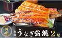 【ふるさと納税】 国産 うなぎ 蒲焼 2尾 特製ダレ付 冷凍