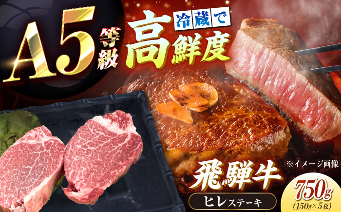 【チルド（冷蔵）発送！】 「飛騨牛」 A5等級 ヒレステーキ 150g×5枚 / 牛肉 焼肉 鉄板焼き 網焼き BBQ/ 恵那市 / 東美濃農業協同組合 [AUFX019]