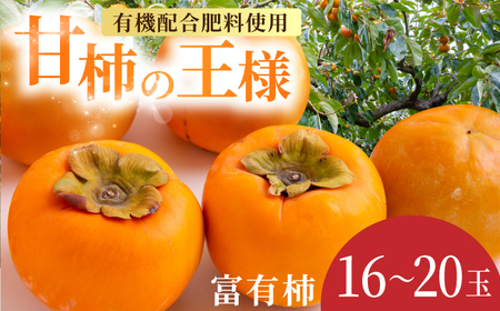 【先行予約】有機配合肥料使用 富有柿 16玉から20玉 2026年11月上旬から11月下旬 出荷予定【春光園】 柿 かき 甘柿 甘い 果物 フルーツ