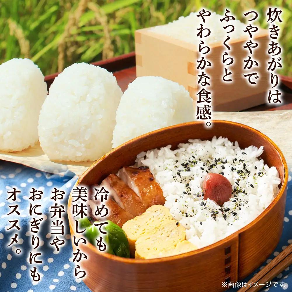 《令和8年産 新米受付》米 あきたこまち 10kg（5kg×2袋）【無洗米】秋田県産