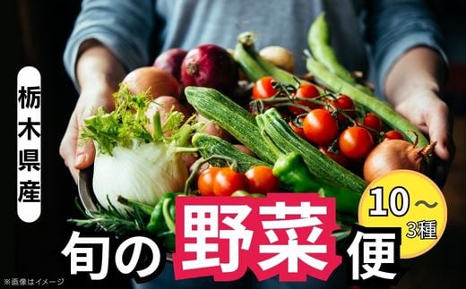 栃木県産 旬の野菜 (果物) 便 3～10種 | 季節の味覚 産地直送 野菜 フルーツ 旬を楽しむ